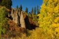 Colorado Fall Colors-4881.jpg